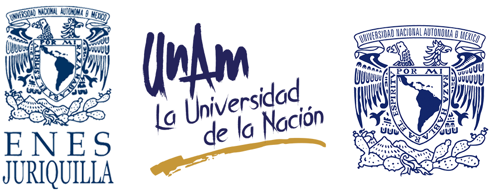 UNAM logo